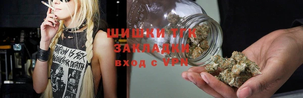 бошки Богородицк