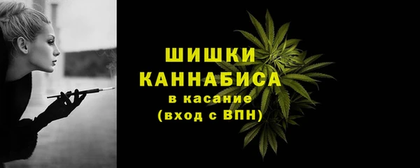 бошки Богородицк
