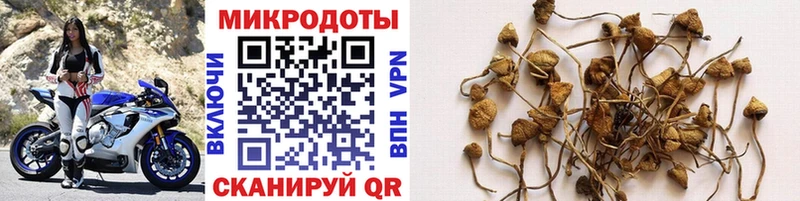 Галлюциногенные грибы ЛСД  Неман 